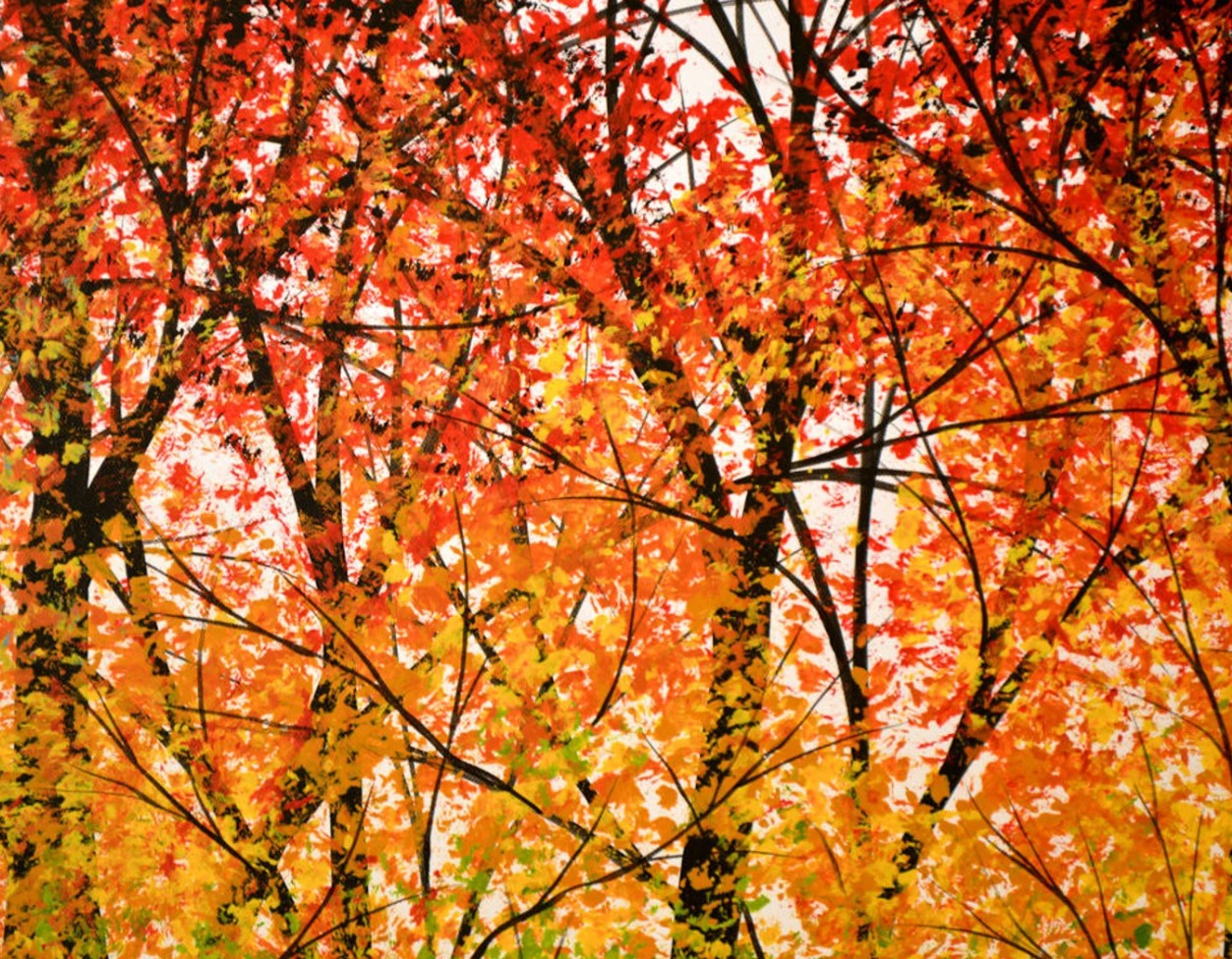 Trees of the Rainbow